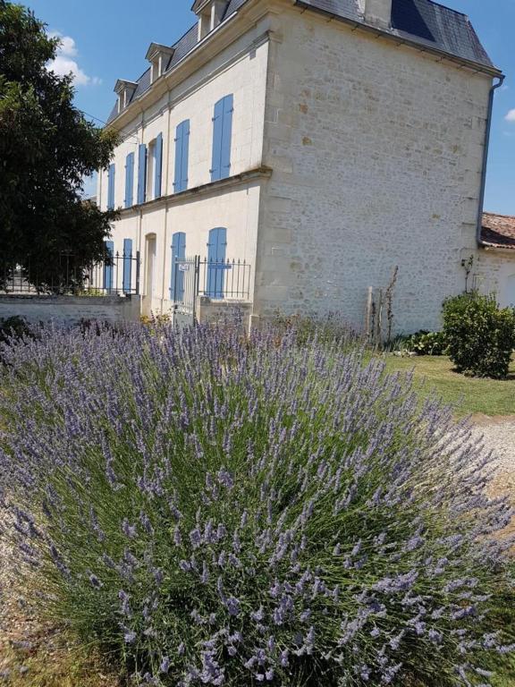 Le Domaine De Bellevue Bed & Breakfast Tanzac Exterior foto